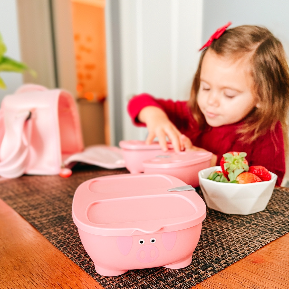 Prince Lionheart - Wholesale Lunch bag/box – Kids - Bentomal ® To Go Bento Box and Carry Bag Lunch Box Container9