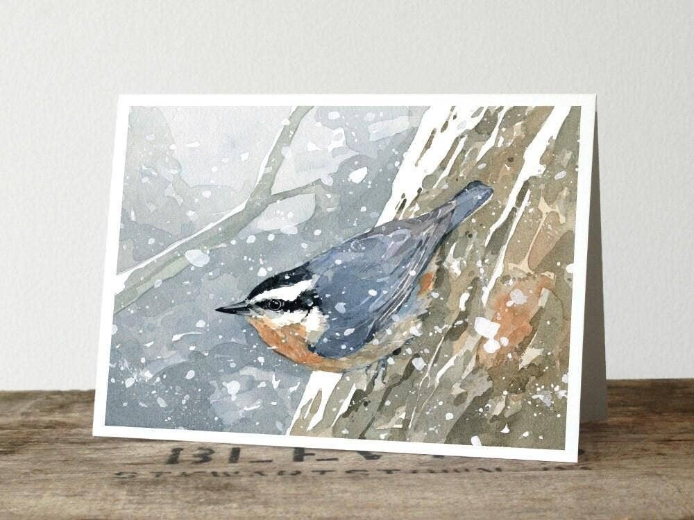 Studio Tuesday - Wholesale Season's Greetings Card - Nuthatch Bird in Snow Holiday Card2