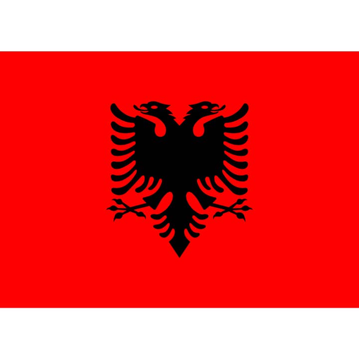 Albanië 5' X 3' voor wholesale door Worldwide Flags Ltd