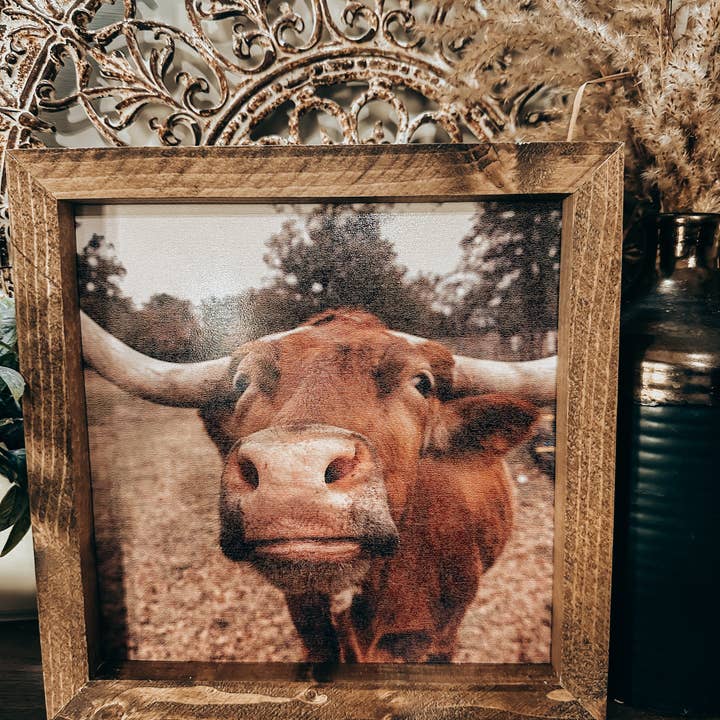 The Broken Board – wholesale Fotografi – Longhornko pussar4