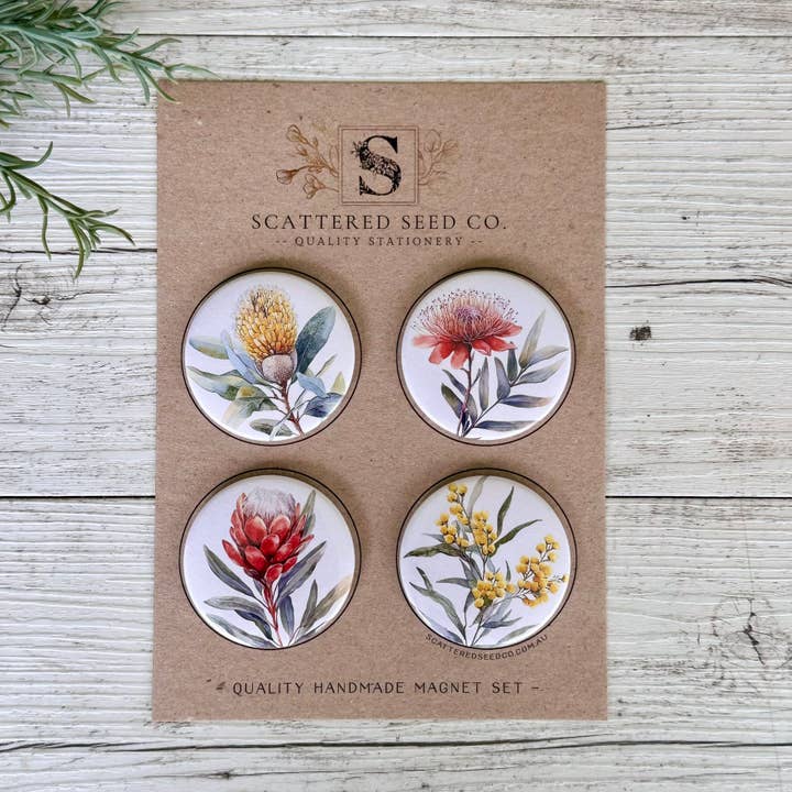 Scattered Seed Co - Wholesale Magnet - AUSTRALIAN FLORALS Large Magnets set of 4 - SET C