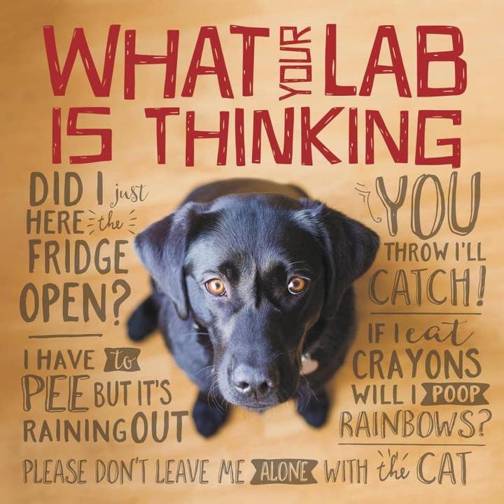 Microcosm Publishing & Distribution - Wholesale Pets - What Your Lab Is Thinking