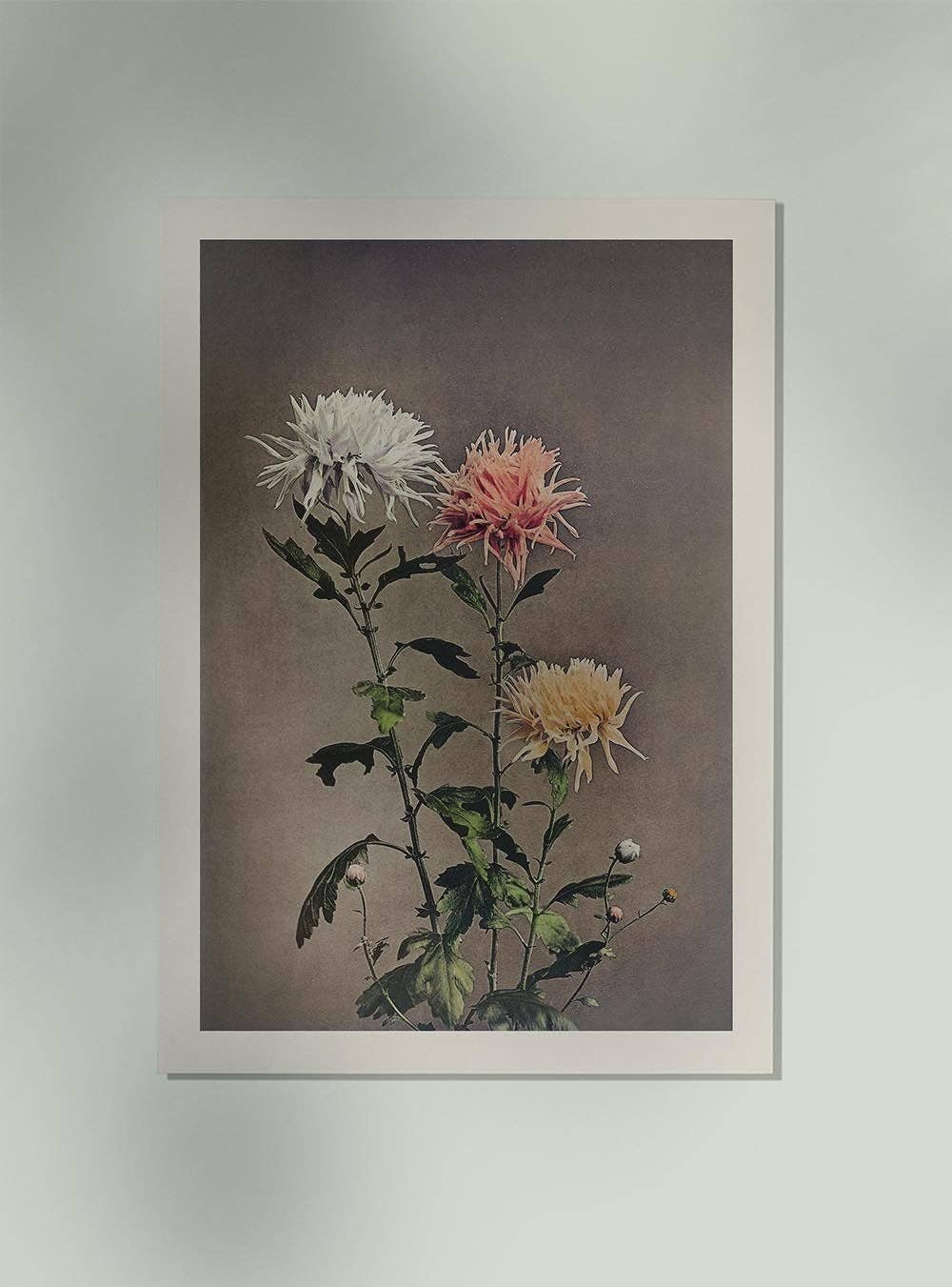 Rock Paper Scissors Wall Art - Venta al por mayor Ilustración - Kin-sui-ro de Ogawa Kazumasa3