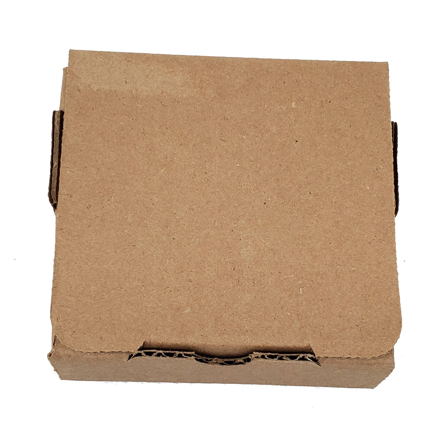 Caroline's Treasures – wholesale Coasters – German Shorthaired Pointer Christmas PoinsettIas Coasters W2