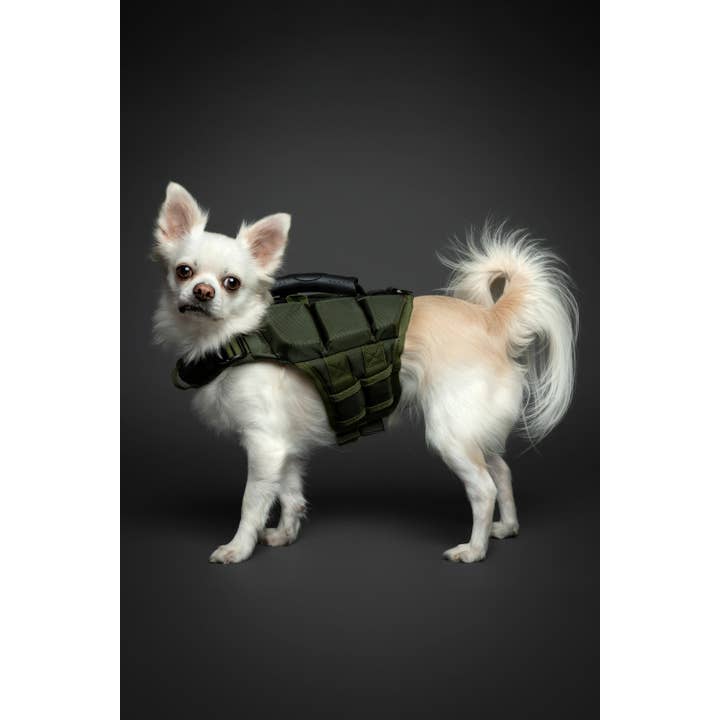 Noah and paw - Wholesale Pet Jacket - Dog - Human Standards Dog Lifejacket Design with 3x Foam Support for Max Floating - Green