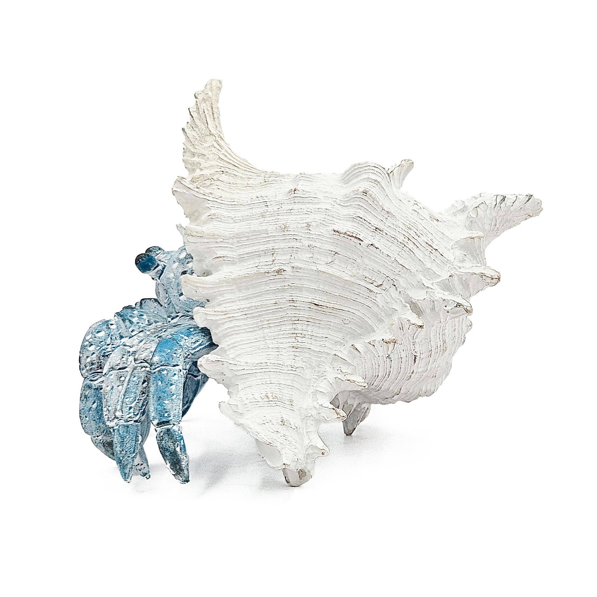 A&B Home Group Inc. - Wholesale Decorative Tabletop Object - 7.3x7x5.7" Lifelike Blue Hermit Crab Figurine w/ White Shell4