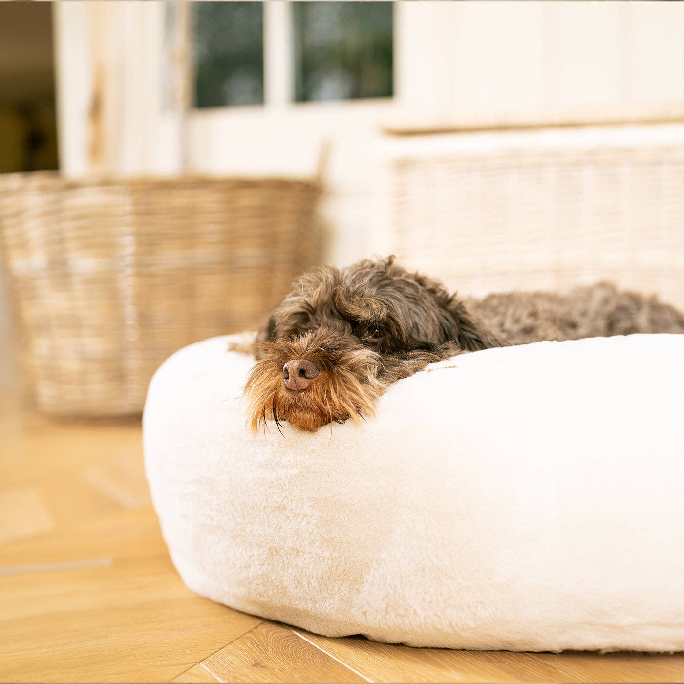 Calming Anti-Anxiety Donut Bed With Removable Covers in Cream Faux Fur by Lords & Labradors for wholesale on Faire1