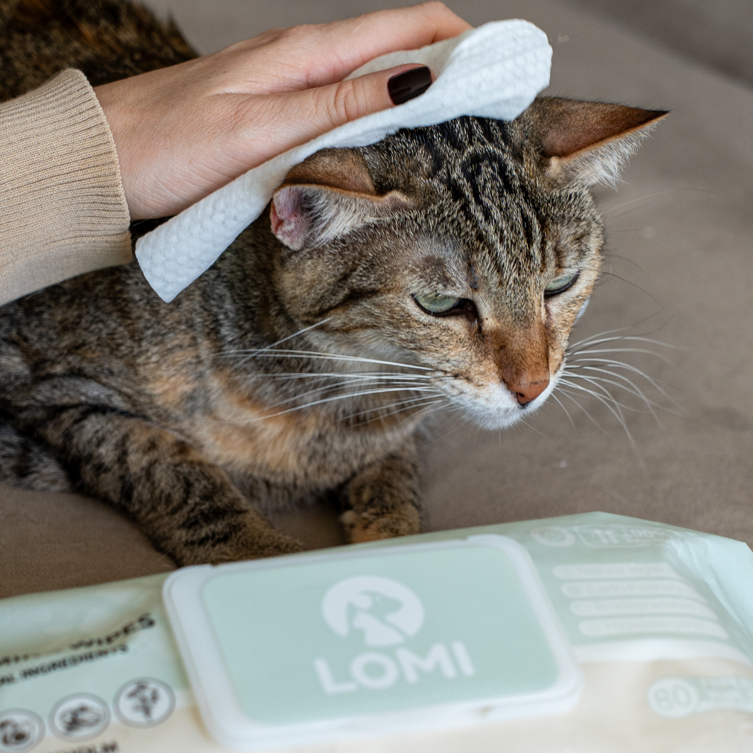 LOMI Pet Care – Engroshandel Pelsplejeprodukter til kœledyr – Hund – BAMBOO PLEJESERVIETTER - PREMIUM STØRRELSE7