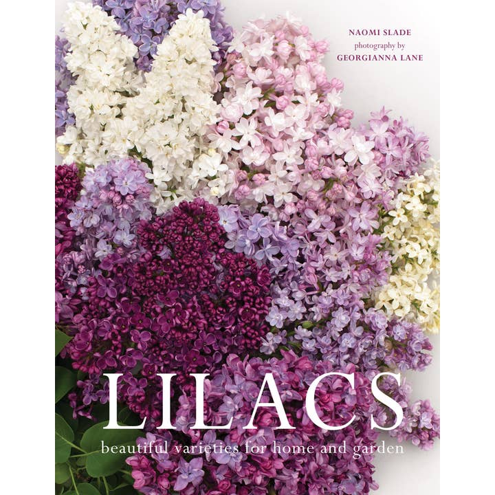 Gibbs Smith - Wholesale Home & Garden - Lilacs: Beautiful Varieties for Home & Garden