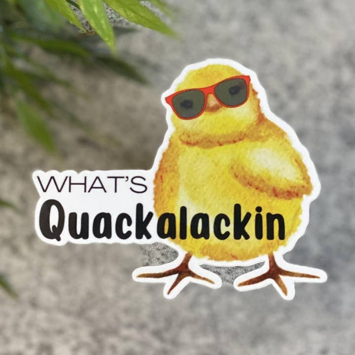 Vad är Quackalackin' Vinyl klistermärke 5-pack för wholesale av Beautiful Mind Design