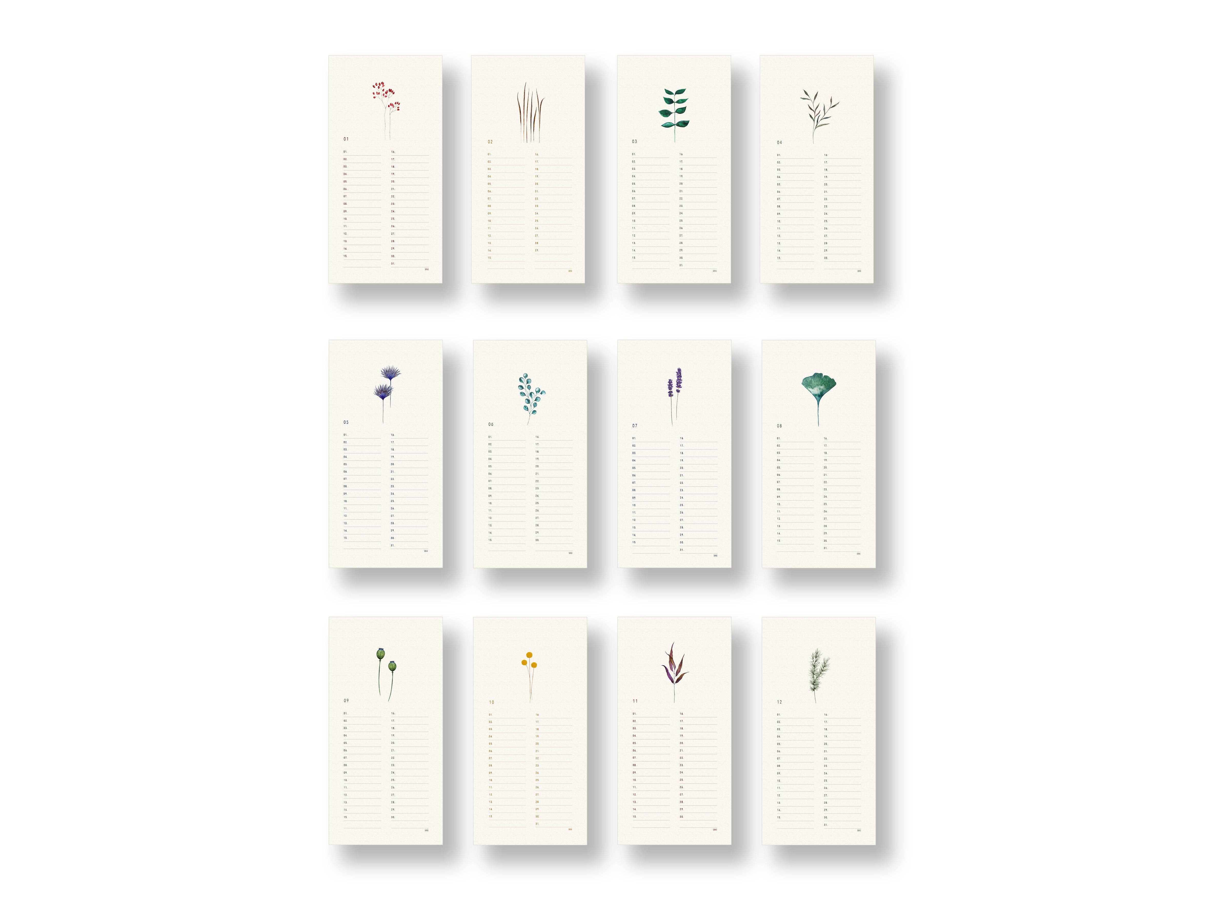 SANS.design - Wholesale Calendar - Perpetual Botany Calendar6