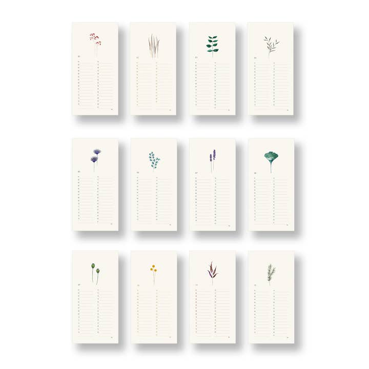 SANS.design - Wholesale Calendar - Perpetual Botany Calendar6