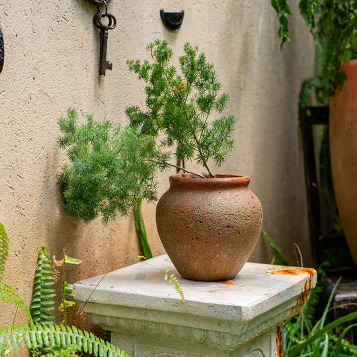 Rustic Reach - Wholesale Plant Pot - Distressed Cement Plant Pot