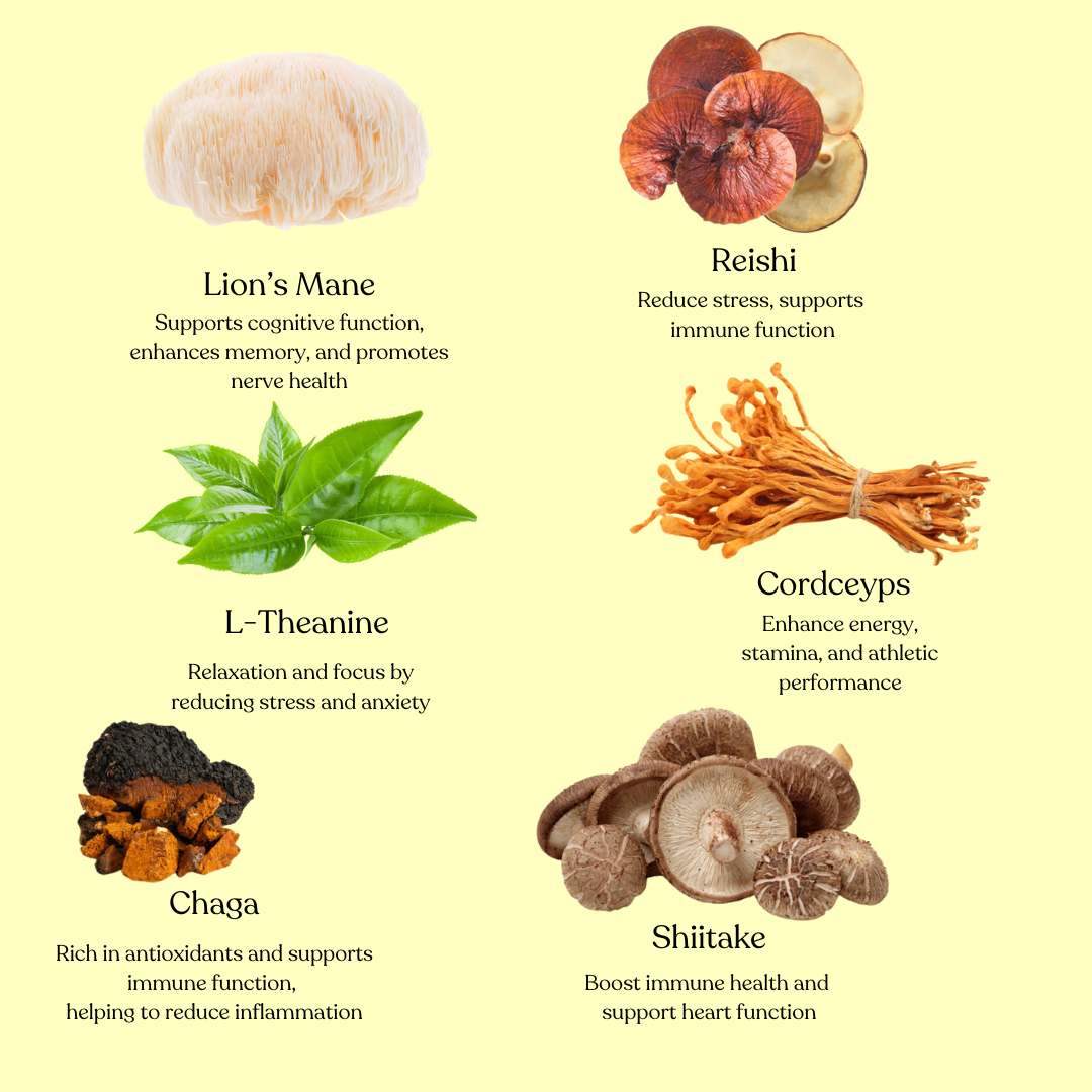 OhSoTOO b.v. - Wholesale Instant Coffee/Espresso - TOO mushroom coffee3