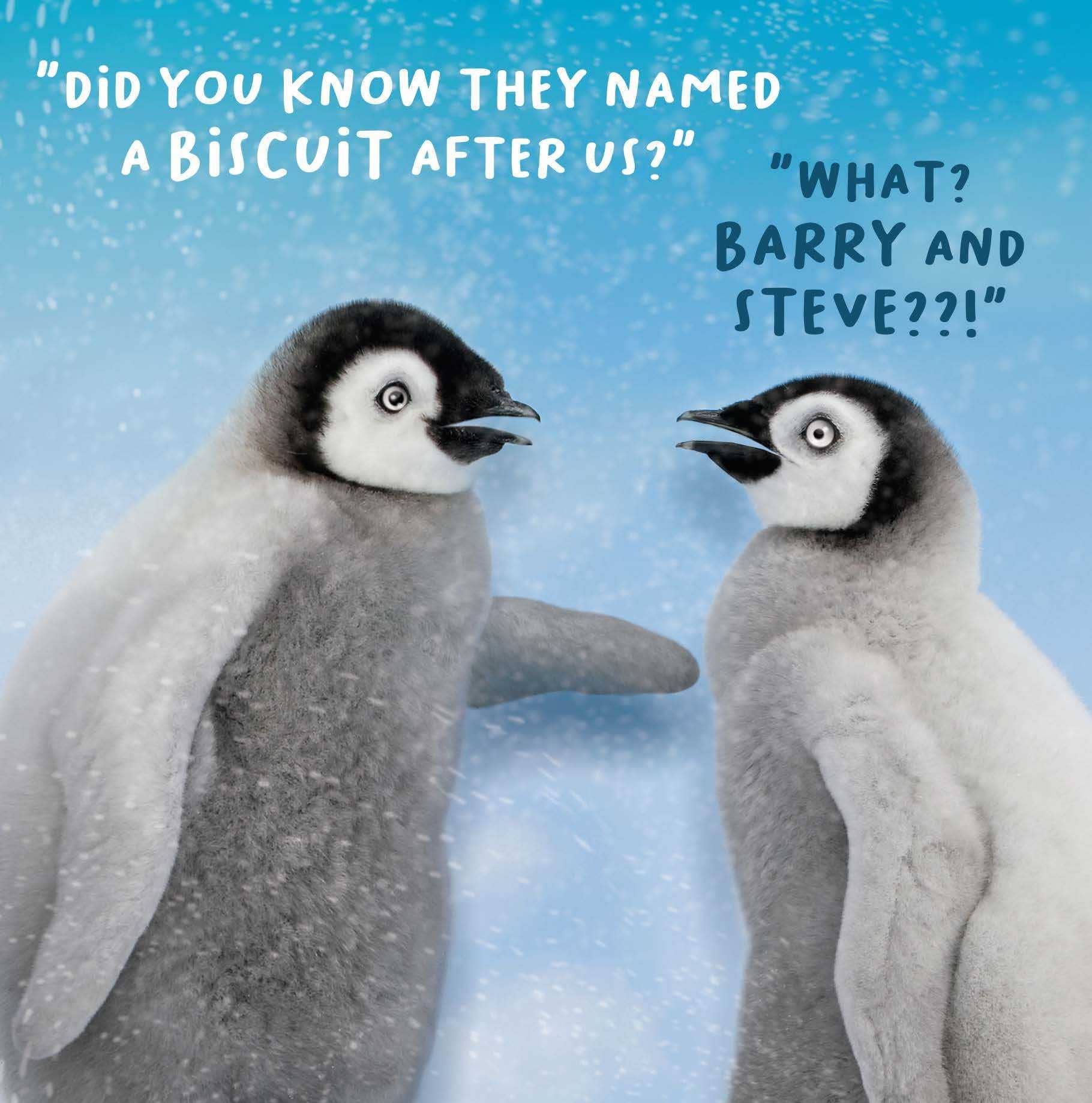 EMOTIONAL RESCUE - Vente Carte de vœux classique - Offre de cartes de vœux de la poste NFSP-99-PACK24