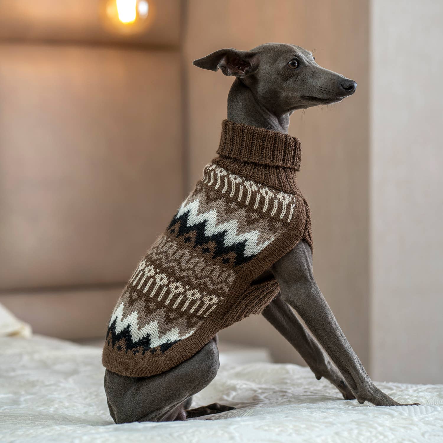 Alqo Wasi – wholesale Pet jumper – Dog – Woolly Peaks Alpaca Dog Sweater0