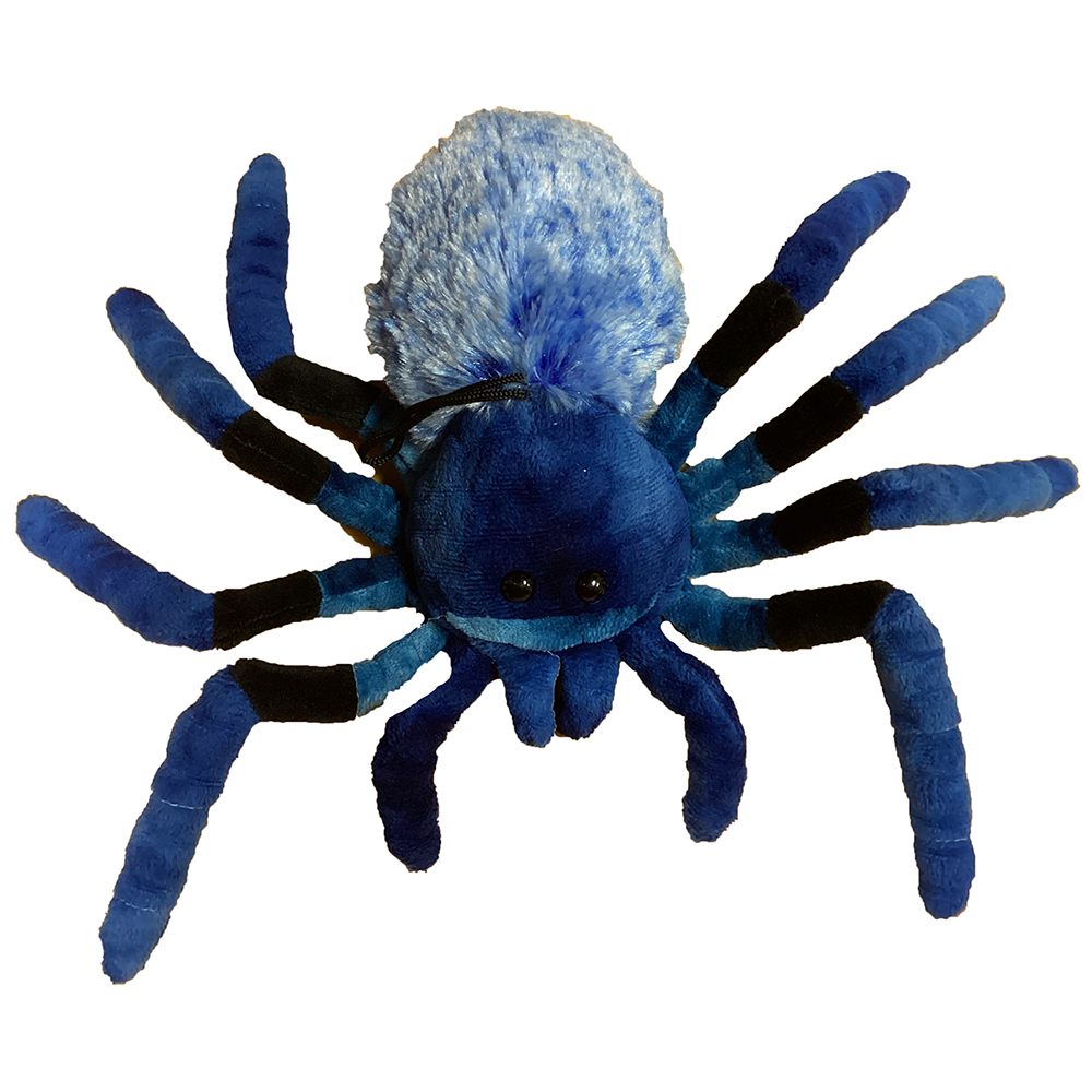 Texas Toy Distribution - Wholesale Stuffed/Plush Toy - Kids & Baby - Blue Tarantula 9" Plush Spider Stuffed Animal, 2 Styles0