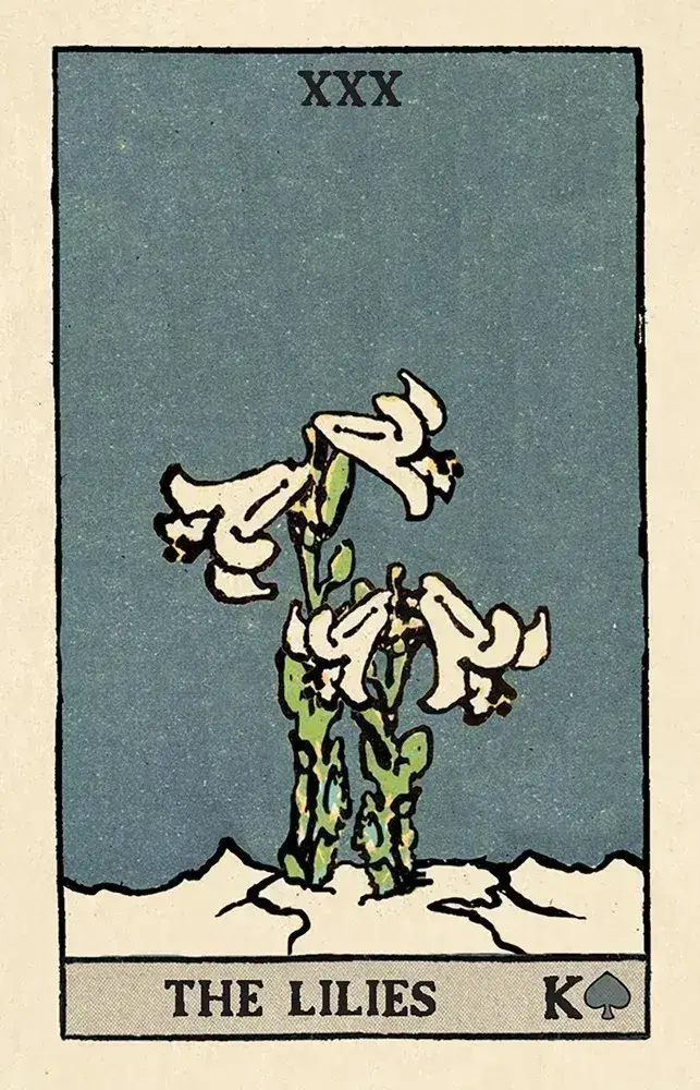 U.S. Games Systems Inc. - Wholesale Tarot Cards - Pixie's Astounding Lenormand4