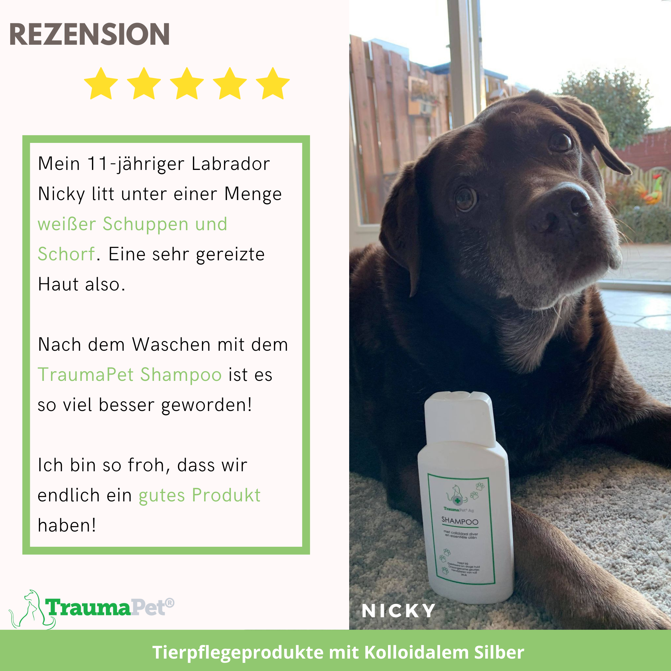 TraumaPet Deutschland - Wholesale Pet Shampoo - Dog - Shampoo with colloidal silver and essential oils2