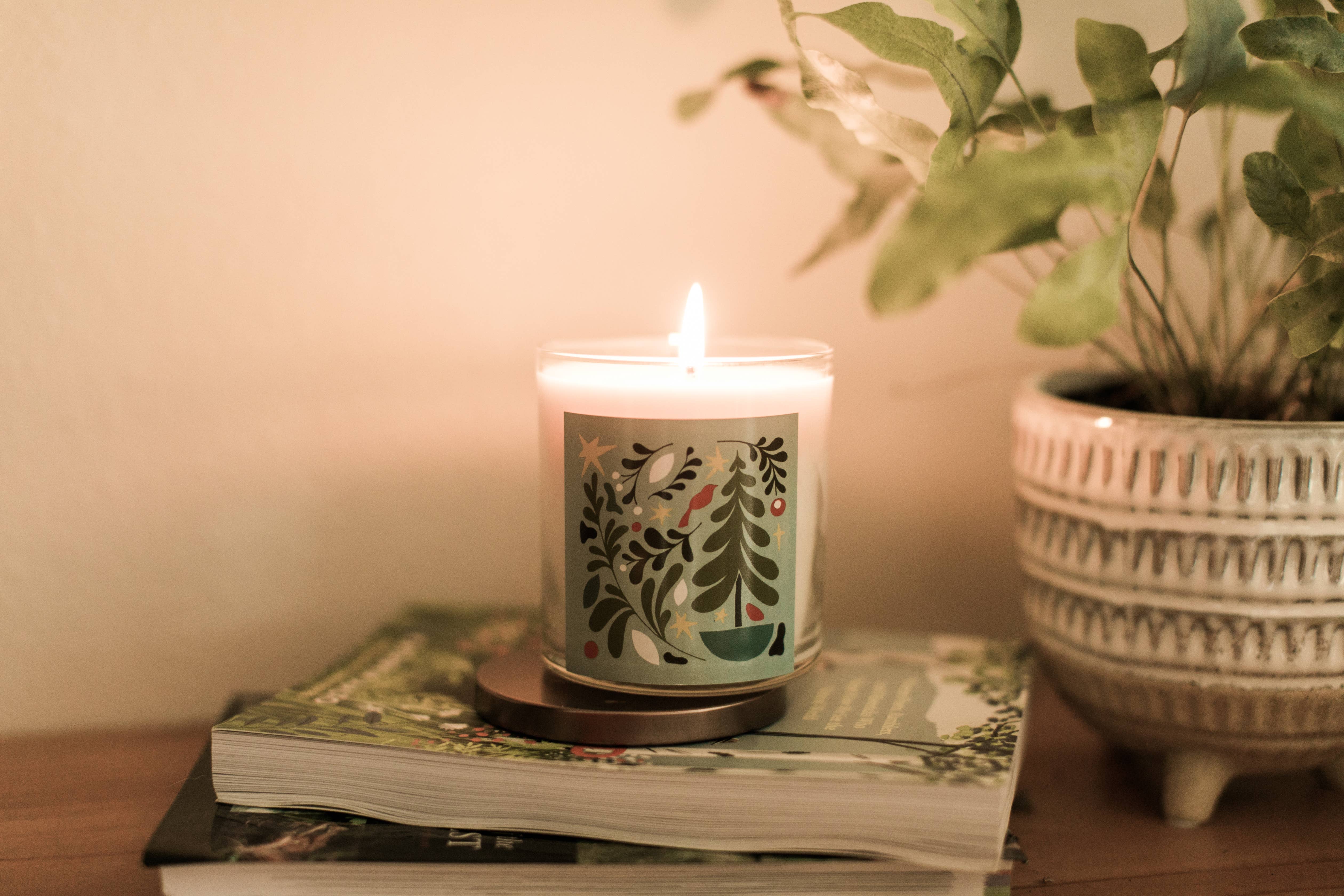 Northwest Sparks - Wholesale Jar/Filled Candle - Celebrate Soy Wax Jar Filled Candle with Pine Scent2