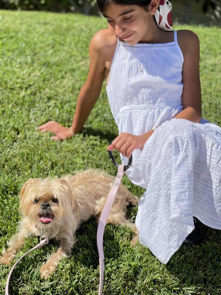 Trela Susan para cães de estimação em pele rosa blush resistente a arranhões por atacado de Shaya Pets