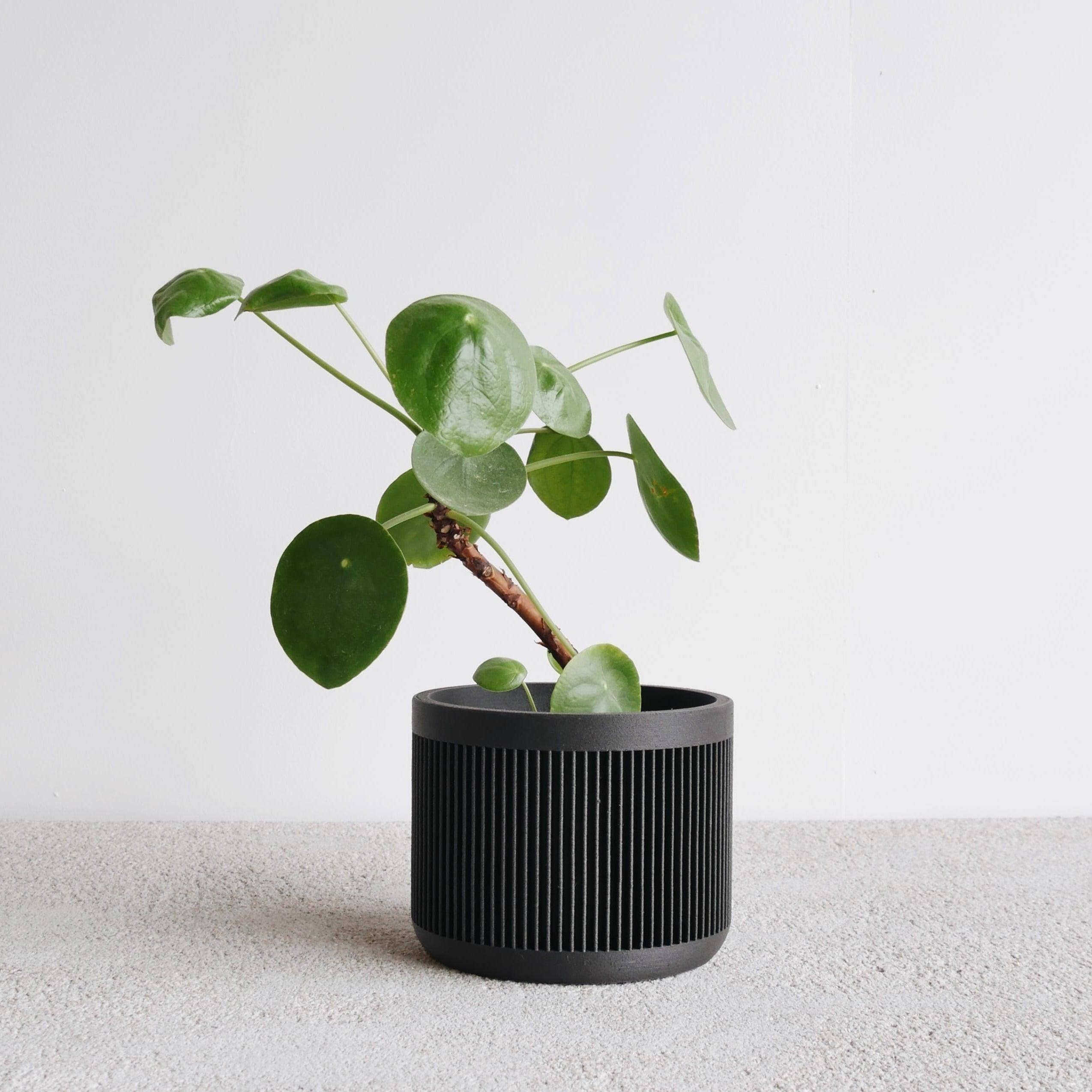 MINIMUM DESIGN - Wholesale Plant Pot - Indoor Plant House - Beige, Black, Green, Mist white, Terracotta - JAPAN6