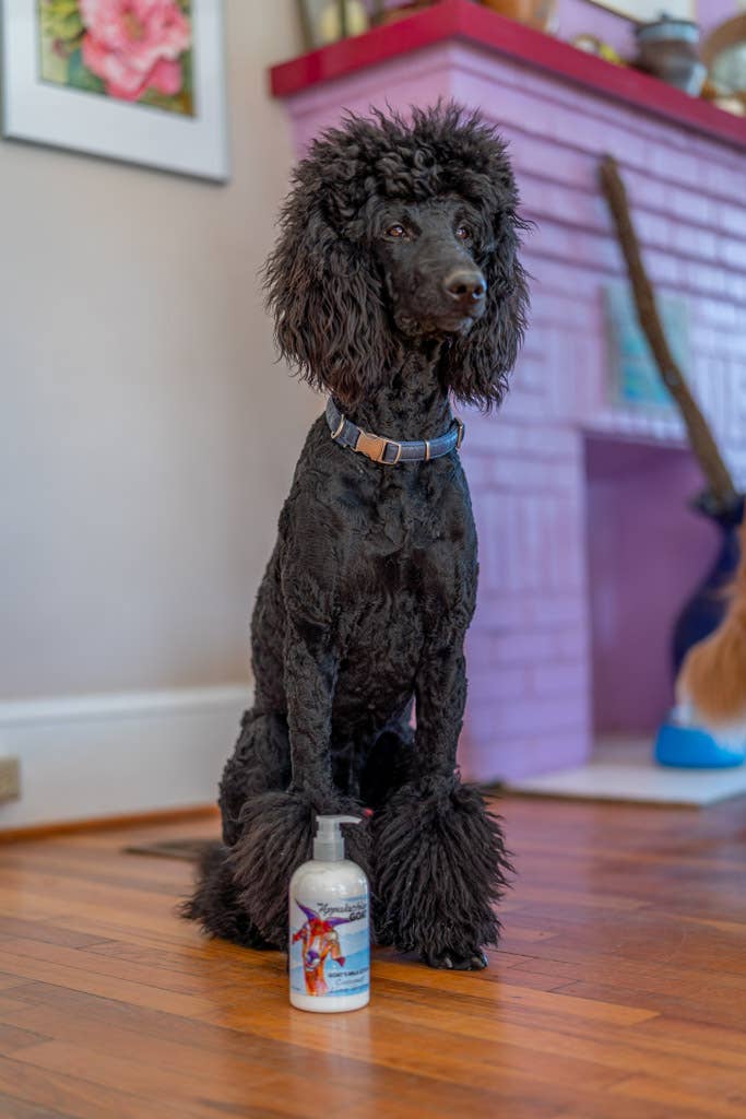 The Appalachian Goat – wholesale Body cream/lotion – 16oz Coconut Lime Verbena Goats Milk Lotion6