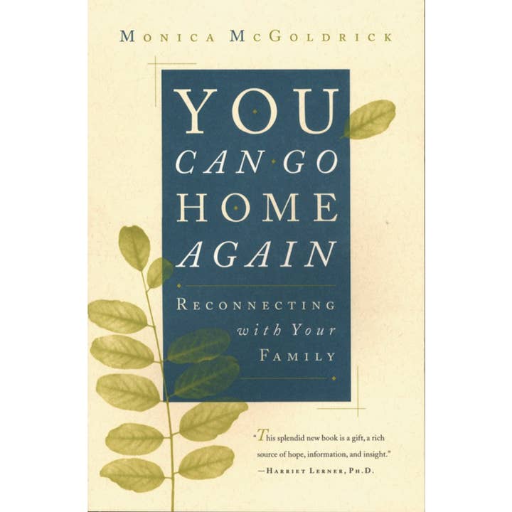 You Can Go Home Again: Reconnecting With Your Family for wholesale by Microcosm Publishing & Distribution