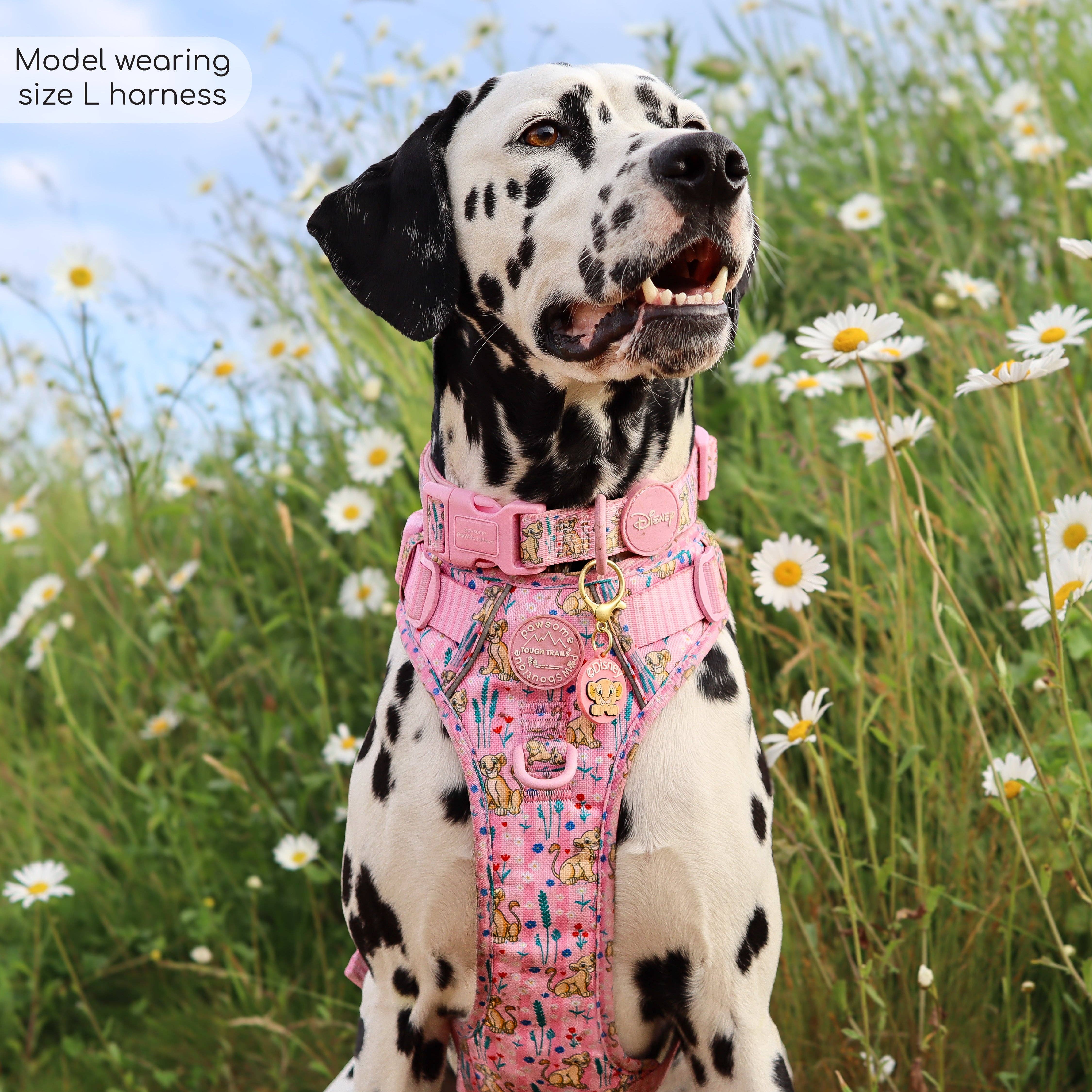 Pawsome Paws - Vendita all'ingrosso Pettorina - Cani - Imbracatura Disney© Tough Trails™ - Nala20