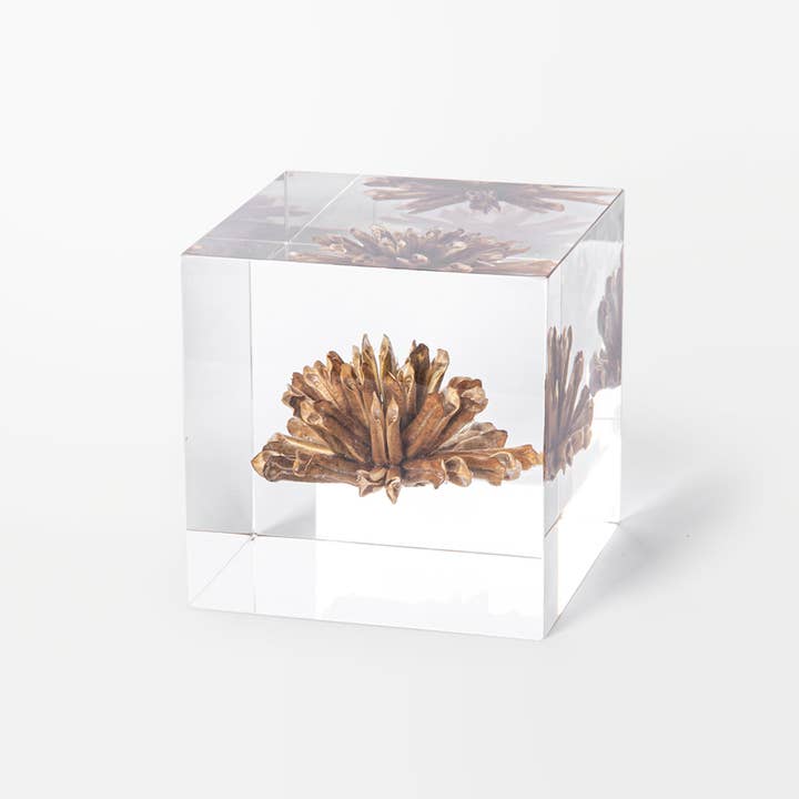 Lumière Creation - Wholesale Decorative Tabletop Object - Sympetalae Cube