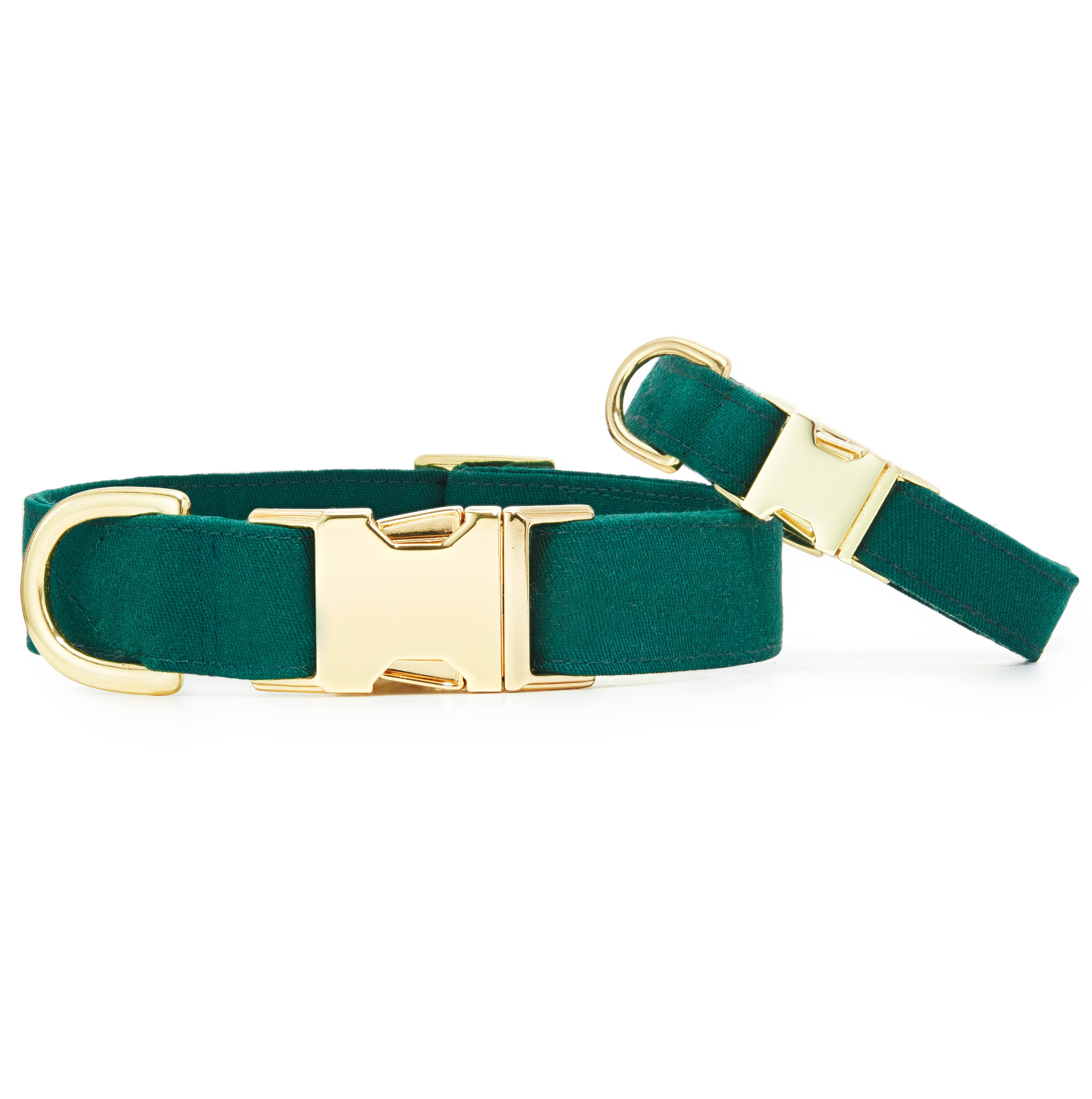 The Foggy Dog - Wholesale Pet Collar - Dog - Evergreen Dog Collar2
