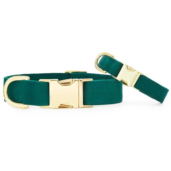 The Foggy Dog - Wholesale Pet Collar - Dog - Evergreen Dog Collar2