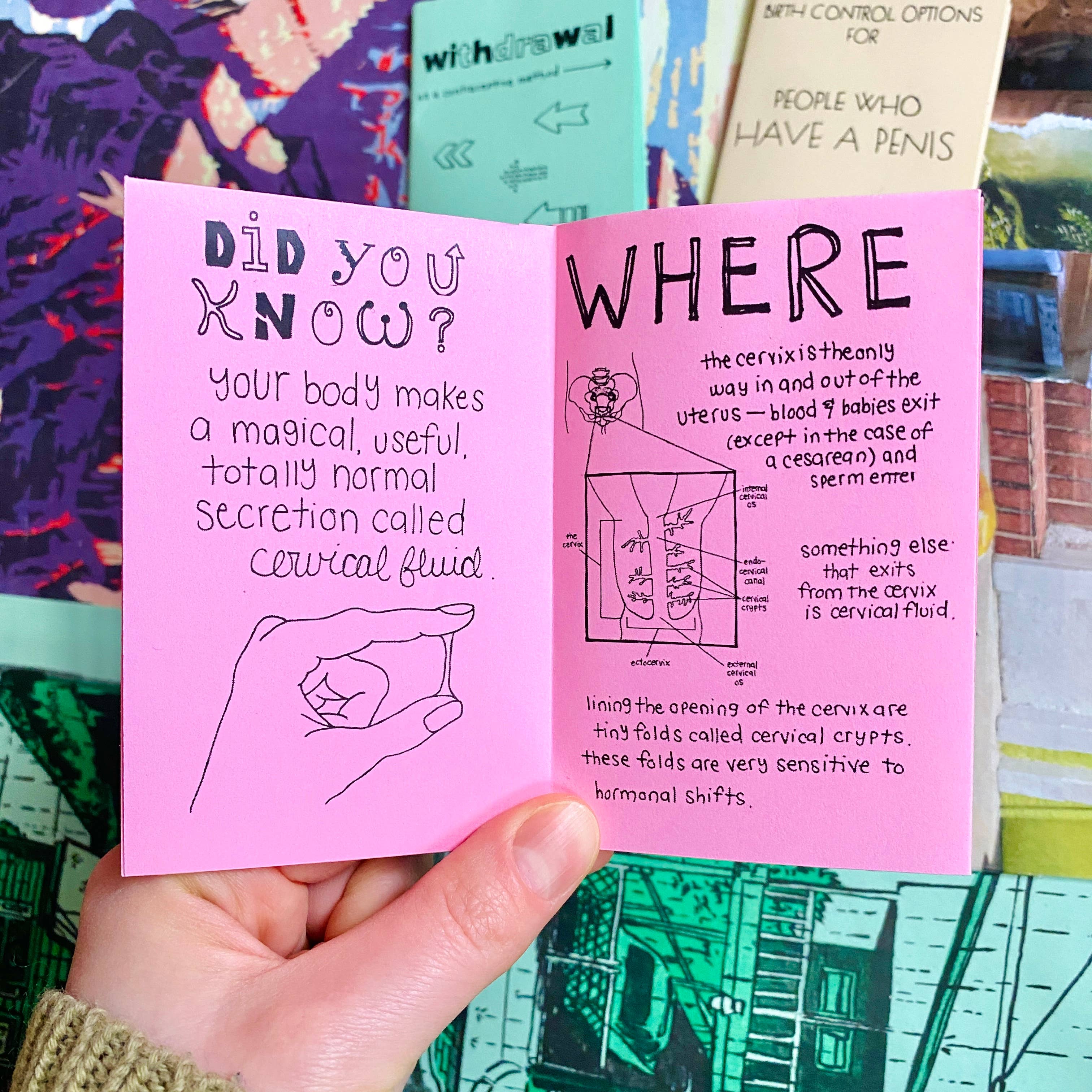 Pleasure Pie - Wholesale Medical Health Book - Birth Control Zine Bundle | Gender affirming sex education3