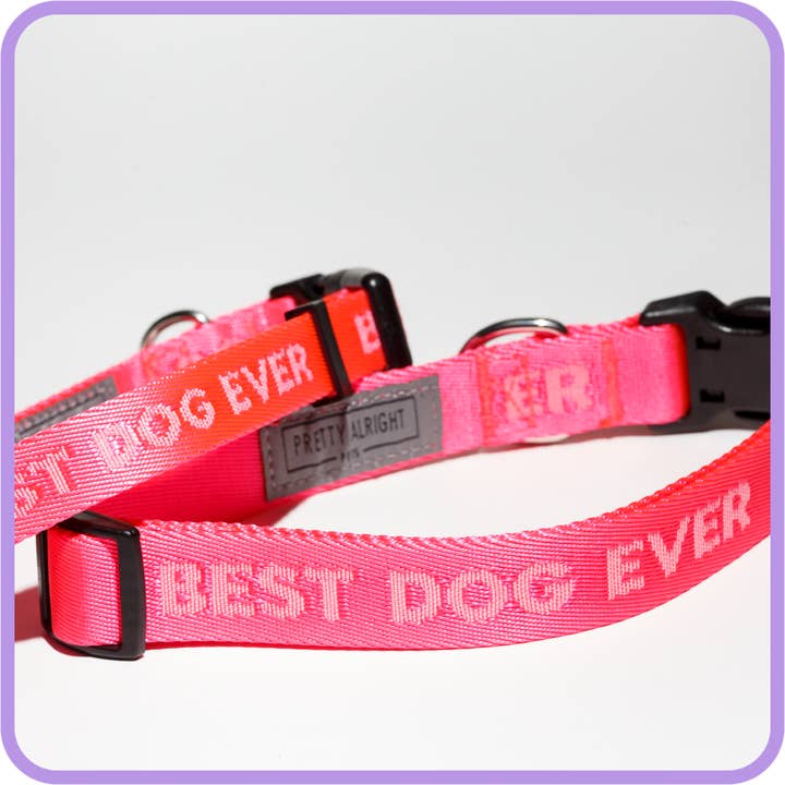 Pretty Alright Goods - Wholesale Pet Collar - Dog - Best Dog Ever (Pink) - Dog Collar
