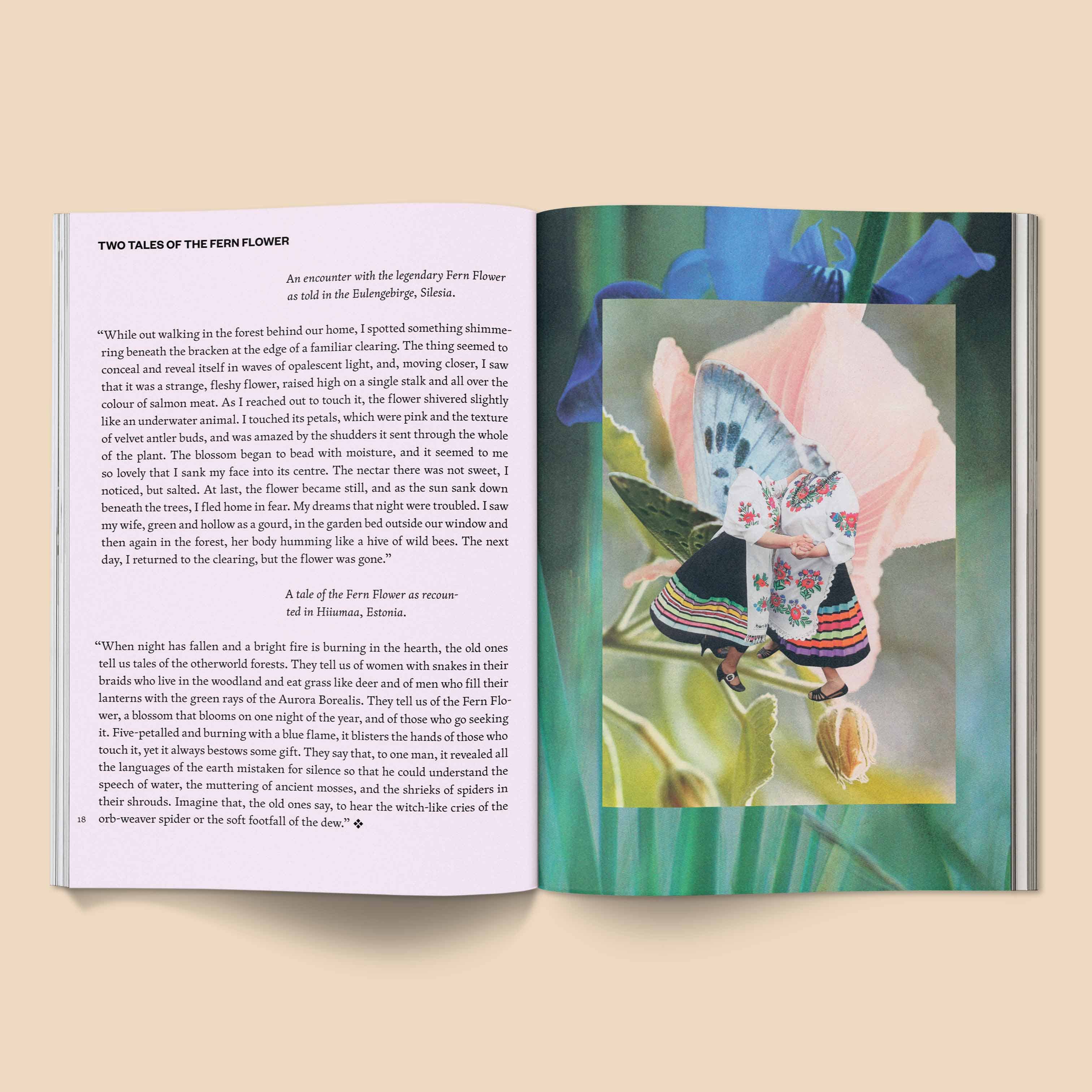 Broccoli - Vente Folklore et mythologie - Fruit du rêve mythique : folklore imaginé4