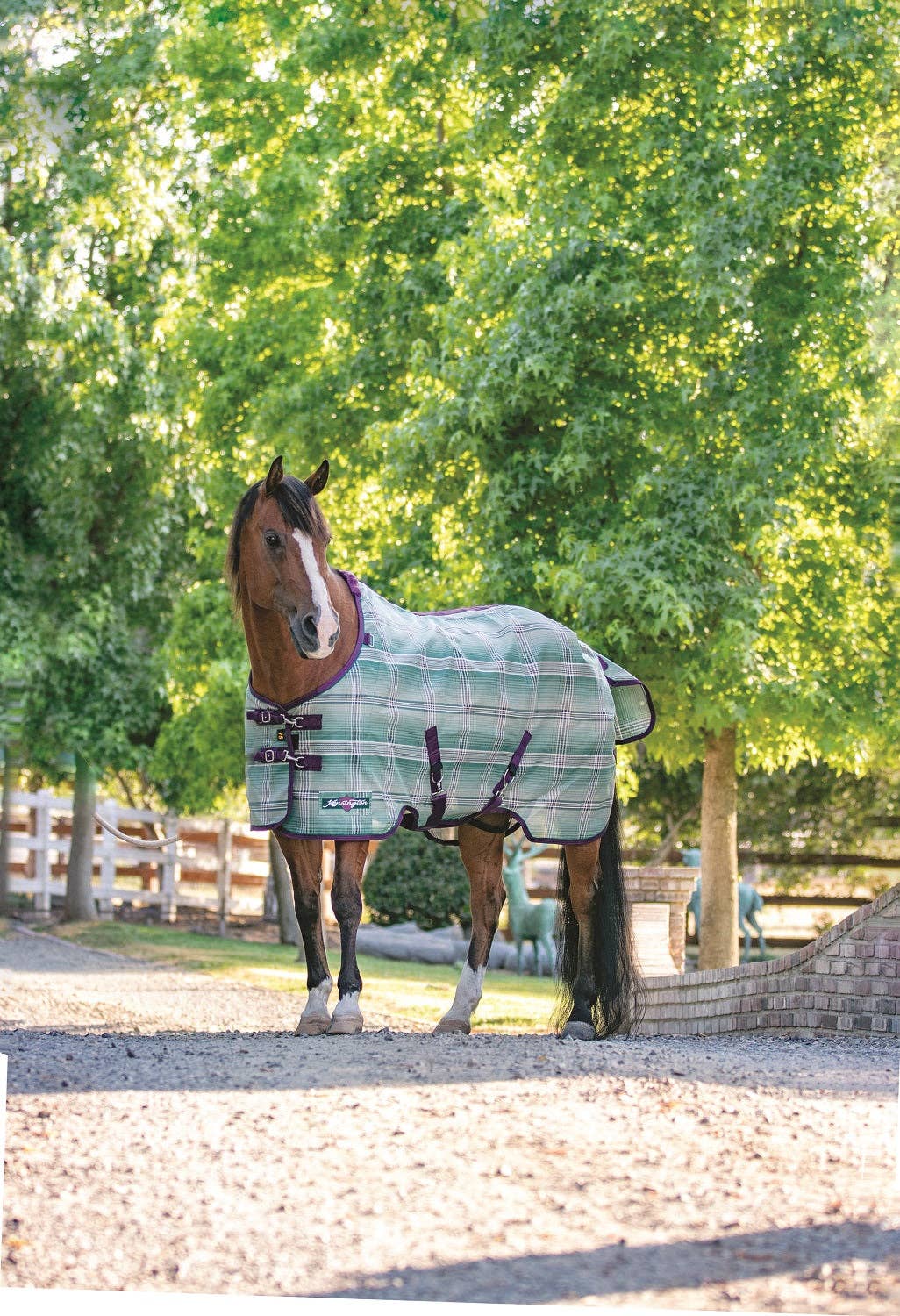 Kensington - Vente Équipement d’équitation - Drap anti-mouches anti-UV à 73 % pour poney, design SureFit® pour un ajustement idéal6