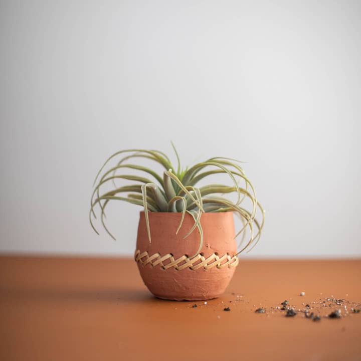 Foreside Home & Garden - Wholesale Plant Pot - SALE - Mesa Terracotta & Cane Weave Garden Planter Pot