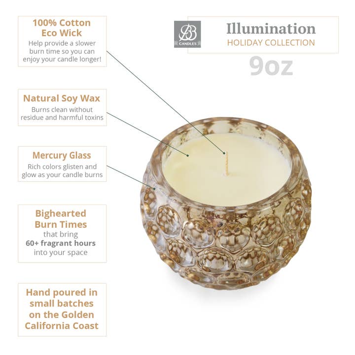 BB CANDLES - Wholesale Jar/Filled Candle - BB Illumination Holiday Collection-9oz-Salted Caramel Pumpki