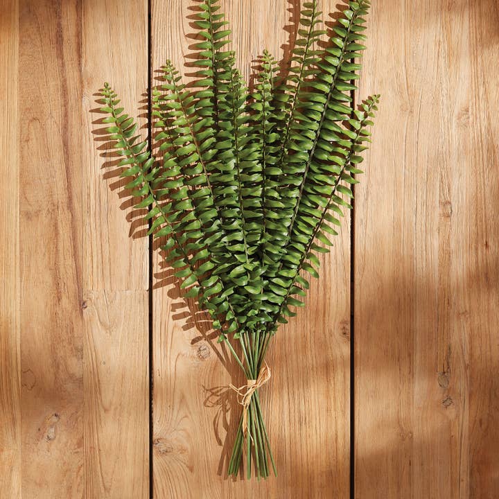 GREEN Fern Stems for wholesale on Faire
