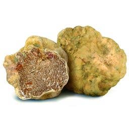Truffes&Co - Wholesale Sauce - Porcini cream with white truffle 90g3