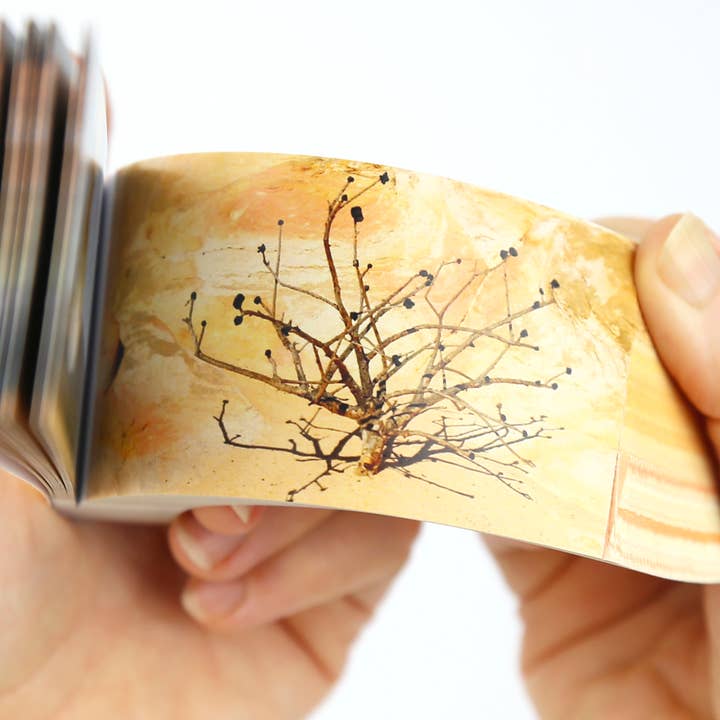 Flipboku - Wholesale Display Book - Muedra Flipbook7