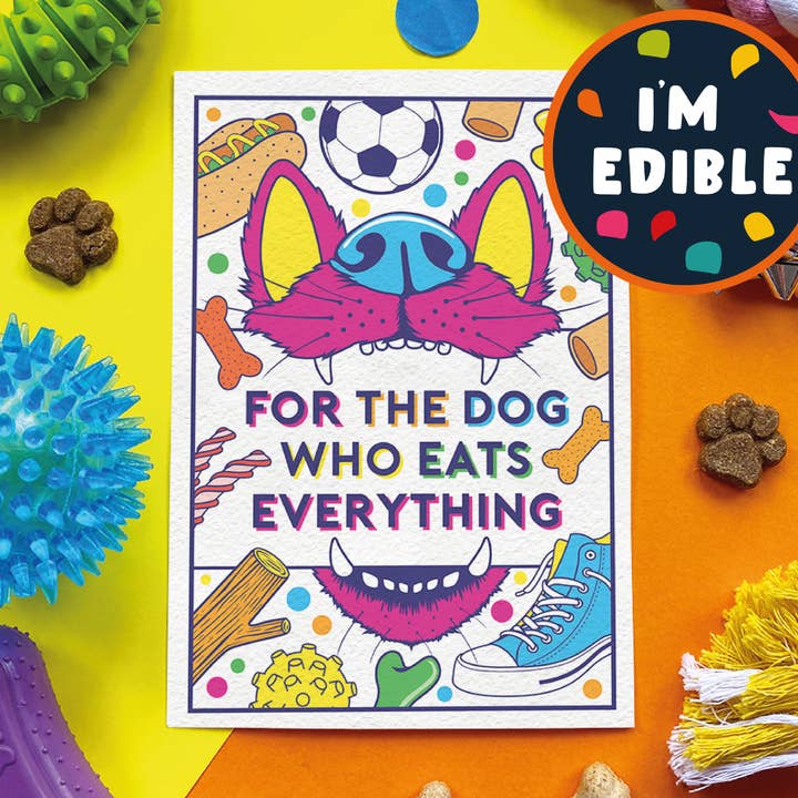 🐾 Dog Eats Everything – Edible Dog Birthday Card for wholesale by Scoff Paper
