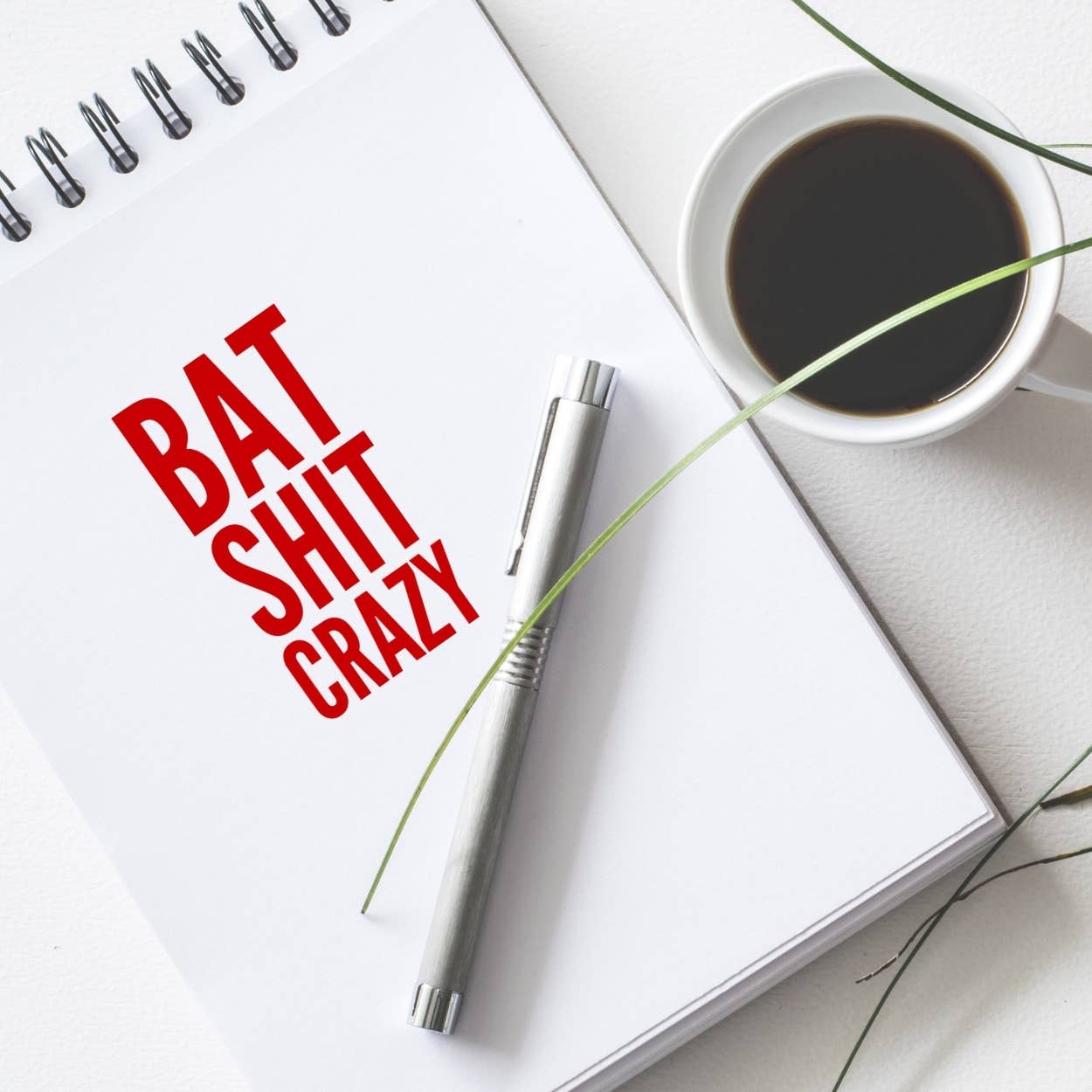 Stickerlishious - Vente Autocollant - AUTOCOLLANT BAT SHIT CRAZY1