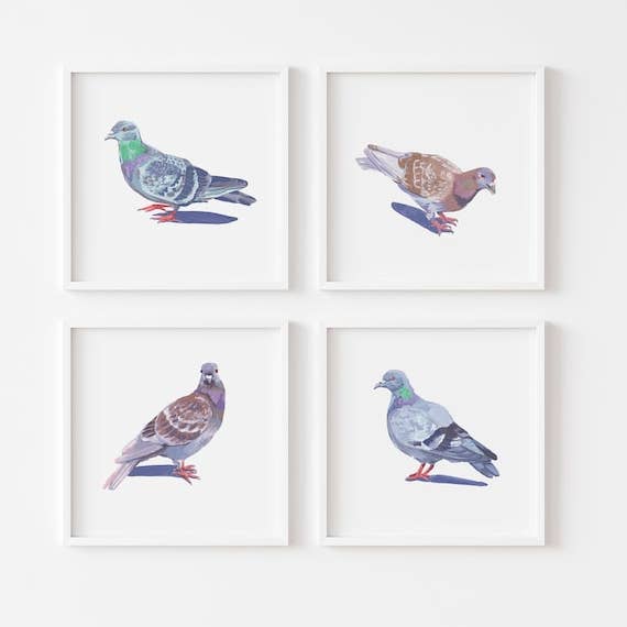 Pigeon Illustration Giclee Art Print for wholesale by Stephanie Missan Studio