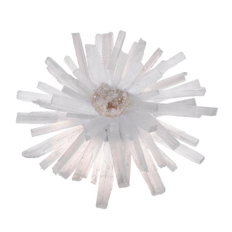 A&B Home Group Inc. - Vente Décoration murale - Accent mural en pierre de quartz D9x3" Flourish - Blanc1