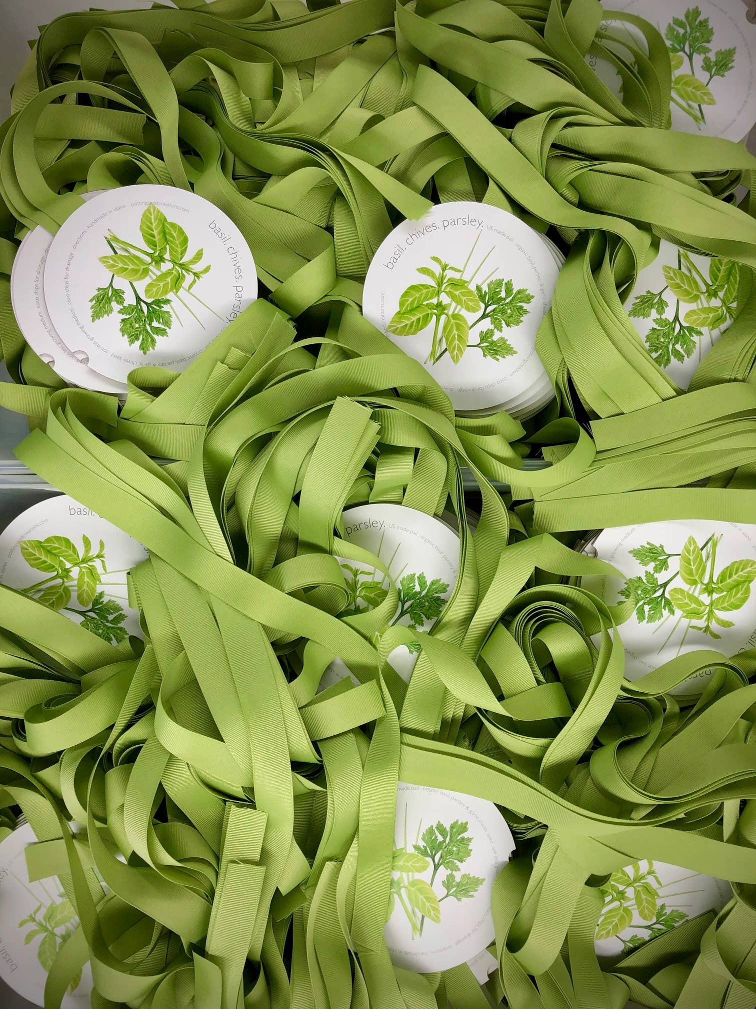 Potting Shed Creations, Ltd. - Wholesale Plant Seeds - Garden in a Pail | Herbs | Mother's Day | Spring gift5