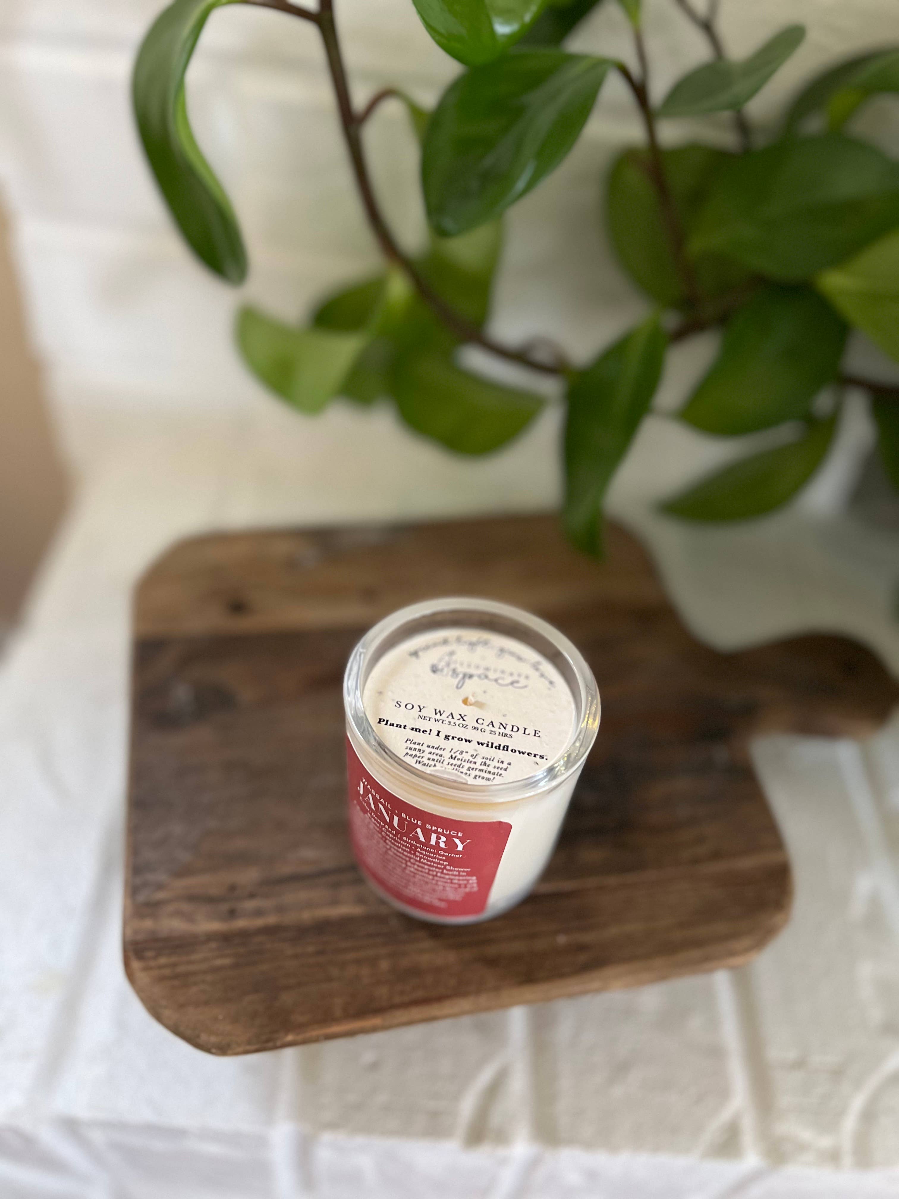 Illuminate Space - Wholesale Jar/Filled Candle - January Birthday Month Candle2