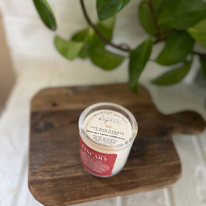 Illuminate Space - Wholesale Jar/Filled Candle - January Birthday Month Candle2