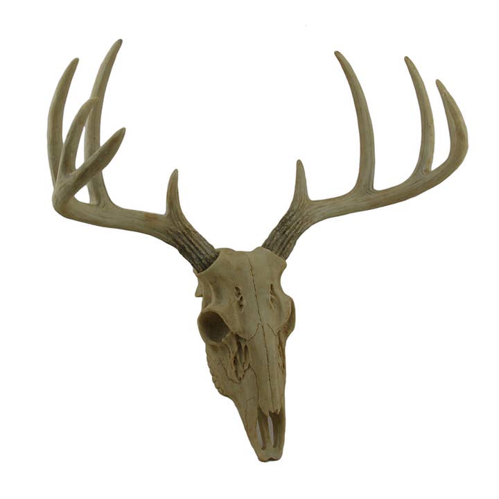 Faux 10 Point Buck Deer Skull 15 Inch Wall Sculpture and other Purchase Wholesale antler. Free Returns & Net 60 Terms on Faire trending on Faire.