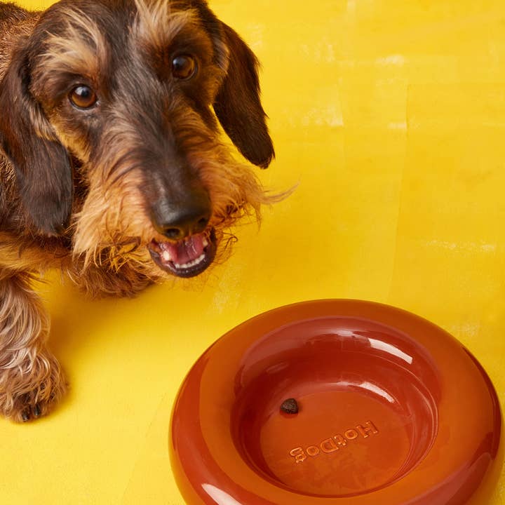 HotDog Pets - Wholesale Pet Bowl - Cat/Dog - Brown ceramic dog feeder5